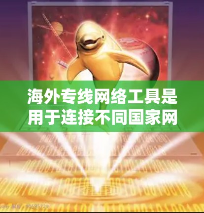海外专线网络工具是用于连接不同国家网络设备的设备，通常通过国际数据线或网络信号进行连接。以下是这些工具的详细介绍
