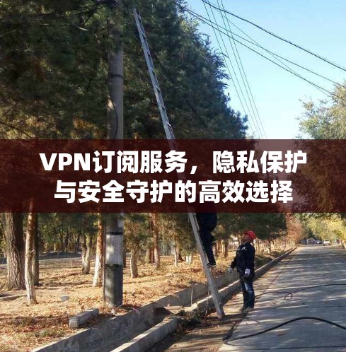 VPN订阅服务，隐私保护与安全守护的高效选择