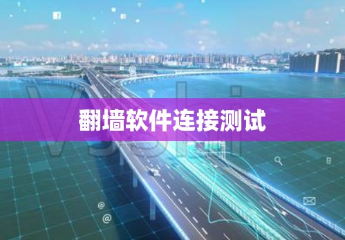 翻墙软件连接测试
