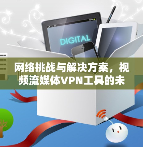 网络挑战与解决方案，视频流媒体VPN工具的未来发展