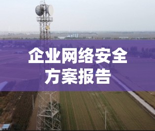 企业网络安全方案报告