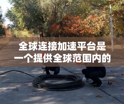 全球连接加速平台是一个提供全球范围内的加速服务的平台，旨在帮助用户更快和更高效地完成网页加速、下载加速、云加速等任务。以下是对该平台的详细分析