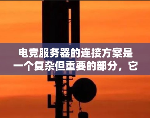 电竞服务器的连接方案是一个复杂但重要的部分，它直接影响到游戏体验的稳定性以及服务器运行效率。以下是一个结构化的连接方案