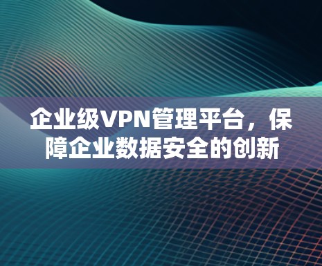 企业级VPN管理平台，保障企业数据安全的创新解决方案