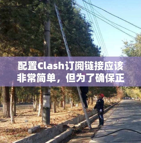 配置Clash订阅链接应该非常简单，但为了确保正确性，以下是一些建议