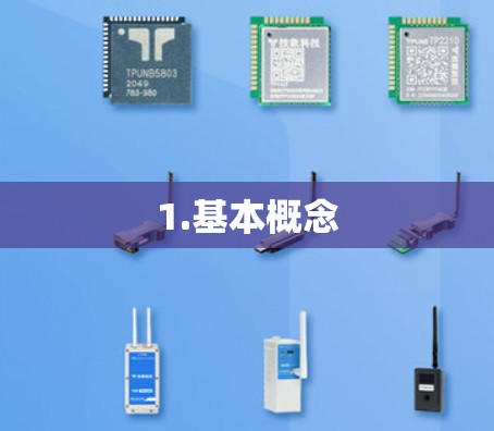 1.基本概念