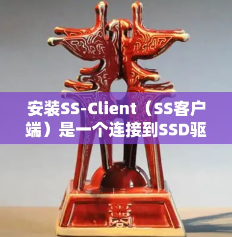 安装SS-Client（SS客户端）是一个连接到SSD驱动的软件工具，通常用于同步文件和文件系统。以下是安装SS-Client的步骤