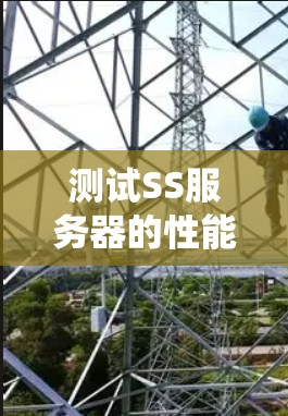 测试SS服务器的性能是一个系统性的工作，需要综合考虑多个因素。以下是一个系统化的步骤指南，帮助您高效、准确地进行测试