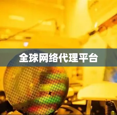 全球网络代理平台