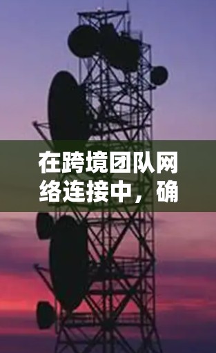 在跨境团队网络连接中，确保数据的安全性和顺畅传输是至关重要的。以下是一些常用的跨境团队网络工具，它们可以满足不同场景的需求