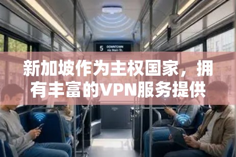 新加坡作为主权国家，拥有丰富的VPN服务提供商，这些提供商通常致力于为新加坡以及全球用户提供安全、便捷的网络连接服务。以下是新加坡VPN连接服务的主要提供商
