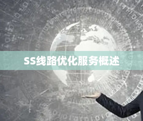 SS线路优化服务概述