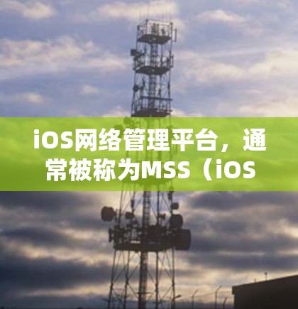 iOS网络管理平台，通常被称为MSS（iOS Secure Switch）是一个强大的工具，帮助用户管理iOS设备之间的网络连接。以下是对iOS网络管理平台的详细总结