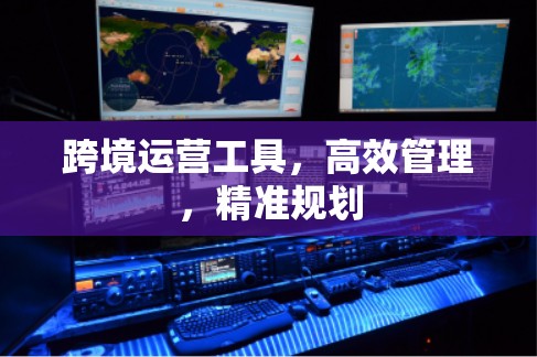 跨境运营工具，高效管理，精准规划