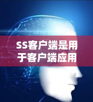 SS客户端是用于客户端应用中处理特定请求的工具，主要功能包括