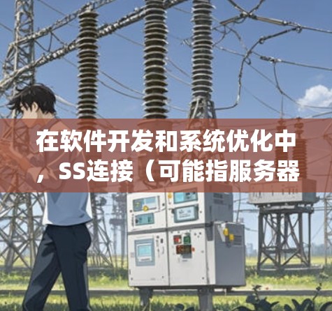 在软件开发和系统优化中，SS连接（可能指服务器连接或软件优化连接）通常指的是优化数据库连接的方式。以下是一些常见场景和优化方法