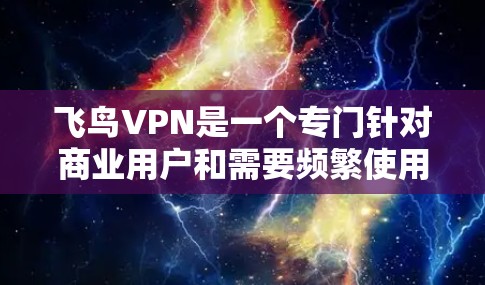 飞鸟VPN是一个专门针对商业用户和需要频繁使用加密连接的用户设计的VPN软件。它提供了多种功能，包括高级加密、多设备使用、端对端（E2E）连接和支持多种网络服务。以下是关于飞鸟VPN的详细介绍