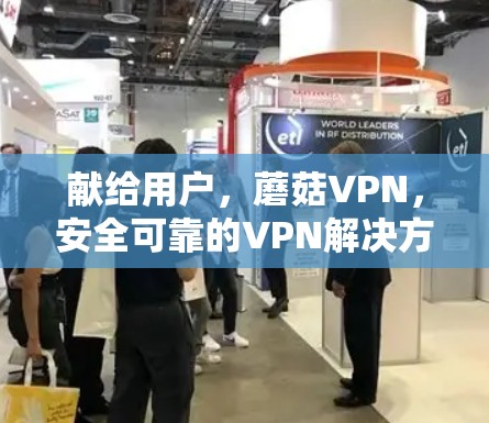 献给用户,蘑菇VPN,安全可靠的VPN解决方案 献给用户,蘑菇VPN,安全可靠的VPN解决方案