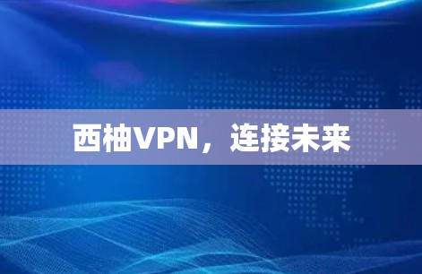 西柚VPN，连接未来